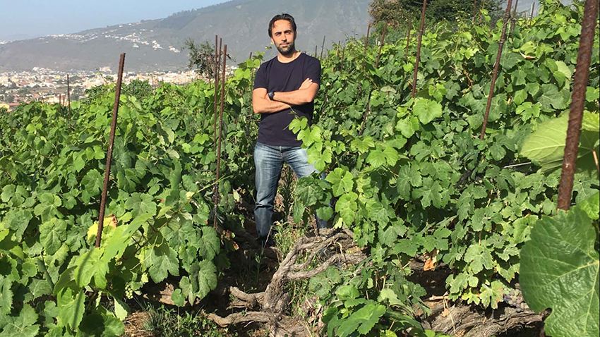 Alle Informationen zu den Weinen von Suertes del Marqu&eacute;s