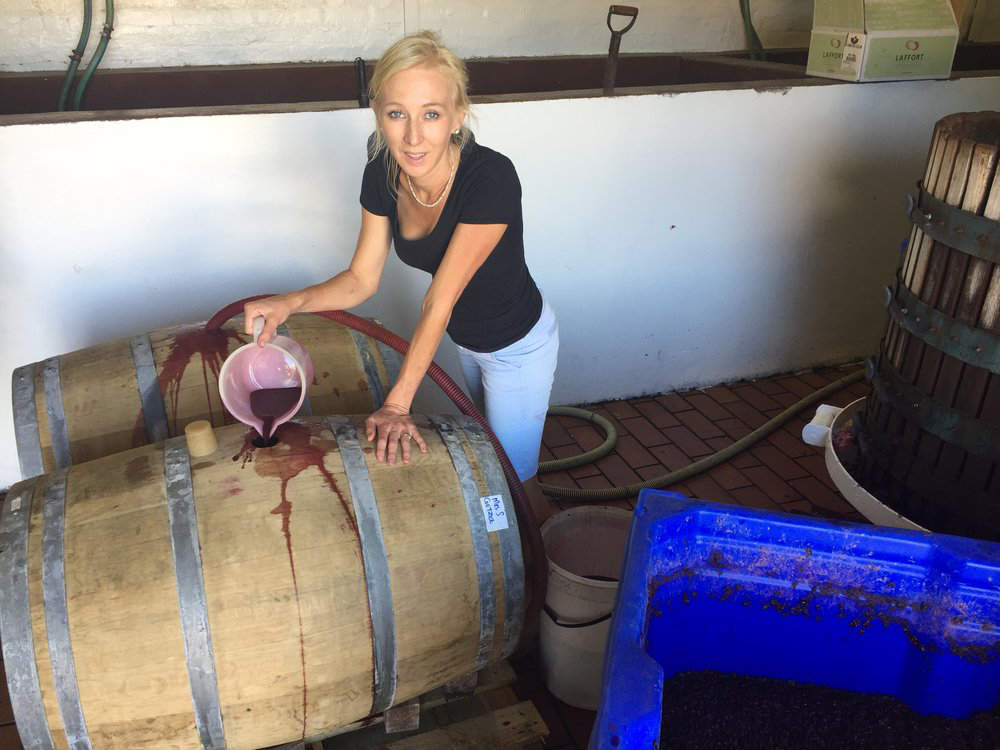Alle Informationen zu den Weinen von Nuiba Wines