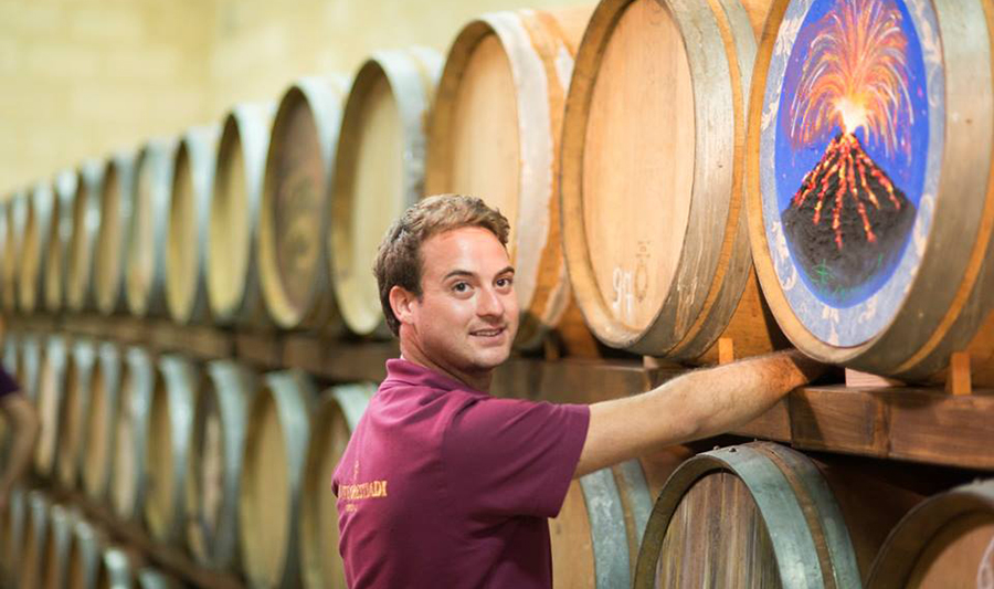 Alle Informationen zu den Weinen von Tenute Orestiadi