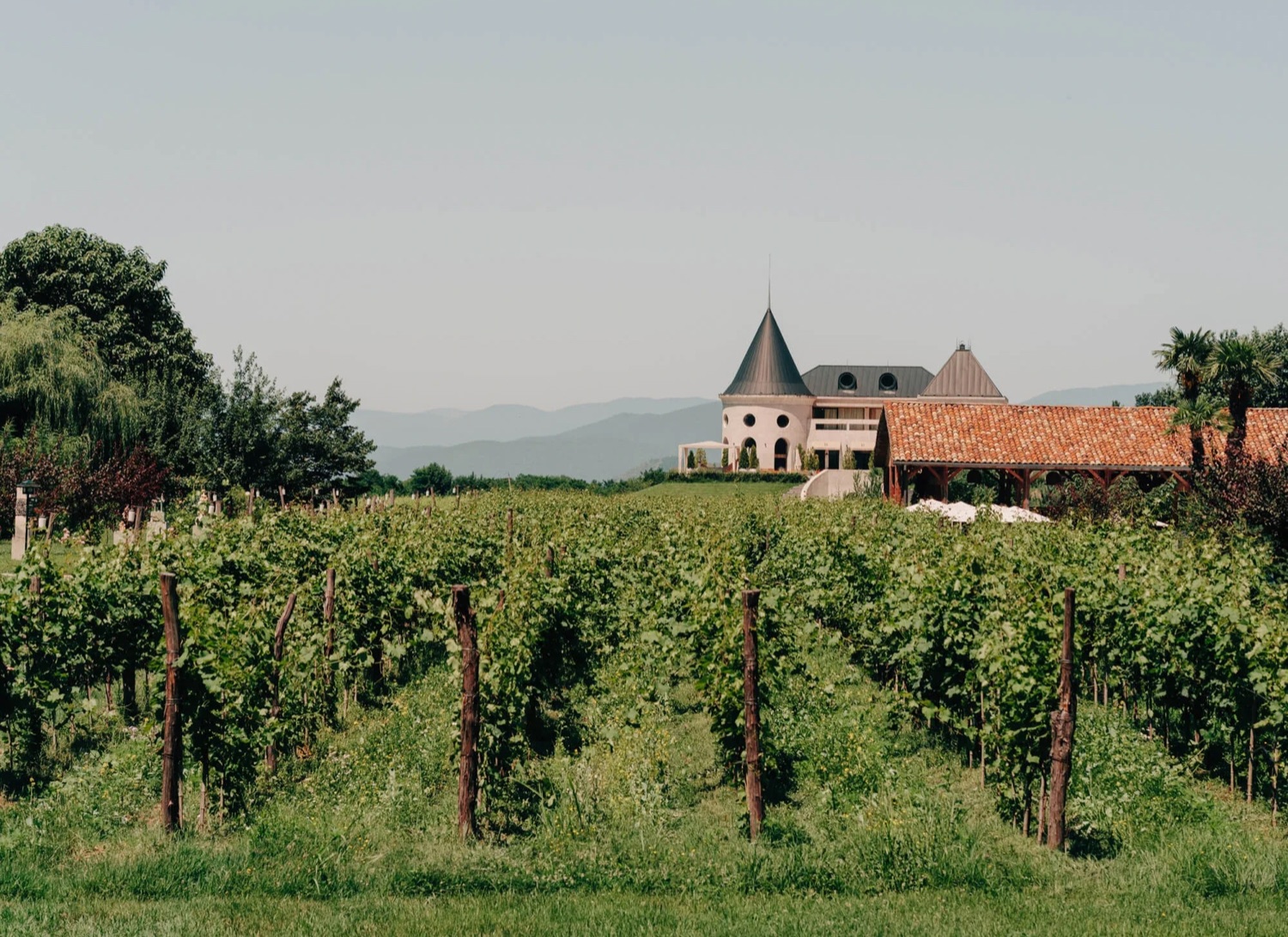 Alle Informationen zu den Weinen von Ch&acirc;teau Buera