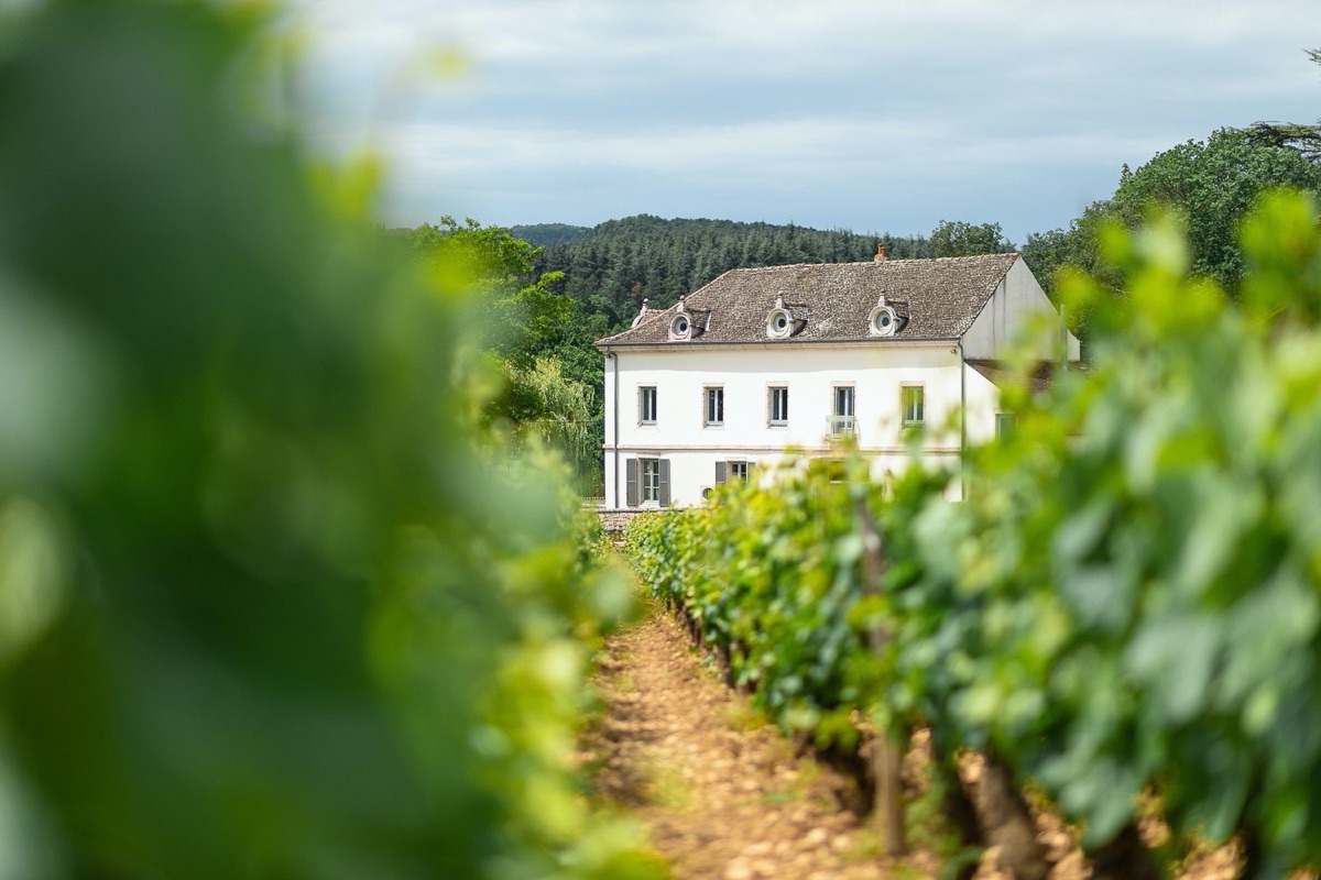 Alle Informationen zu den Weinen von Ch&acirc;teau de Garnerot