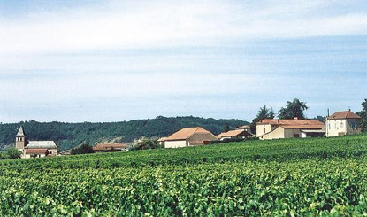 Alle Informationen zu den Weinen von Chateau de Hauterive