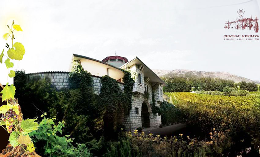 Alle Informationen zu den Weinen von Ch&acirc;teau Kefraya