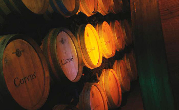 Alle Informationen zu den Weinen von Corvus