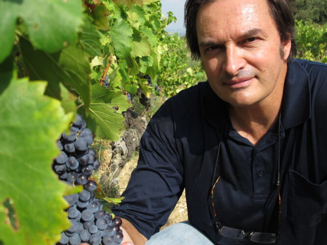 Alle Informationen zu den Weinen von Domaine Duseigneur