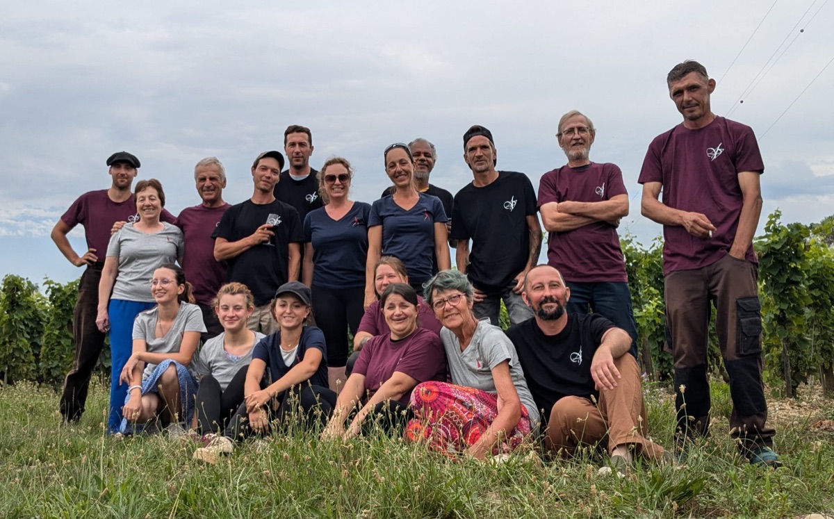 Alle Informationen zu den Weinen von Domaine Les 4 Vents