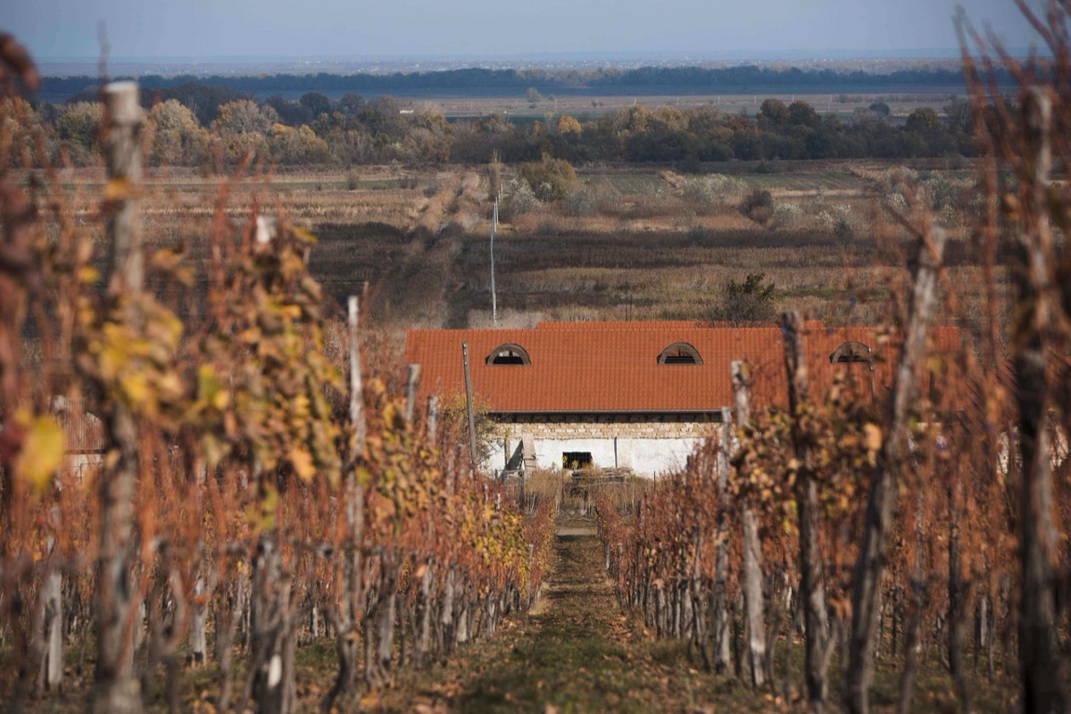 Alle Informationen zu den Weinen von Domeniile Pripa
