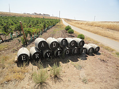 Alle Informationen zu den Weinen von Ervideira