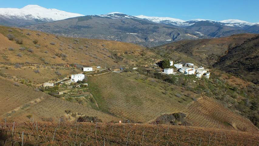 Alle Informationen zu den Weinen von Bodegas Garc&iacute;a de Verdevique