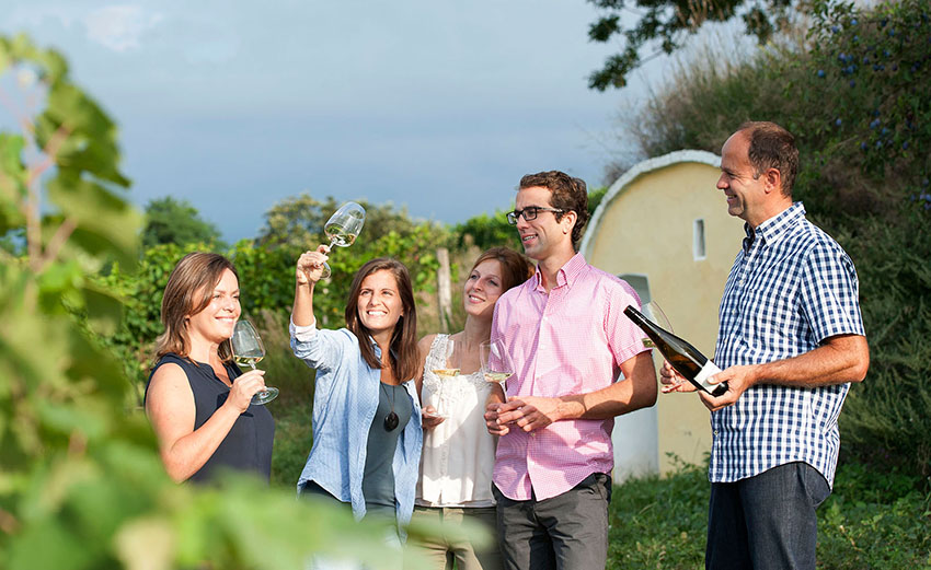 Alle Informationen zu den Weinen von Weingut Jungmayr