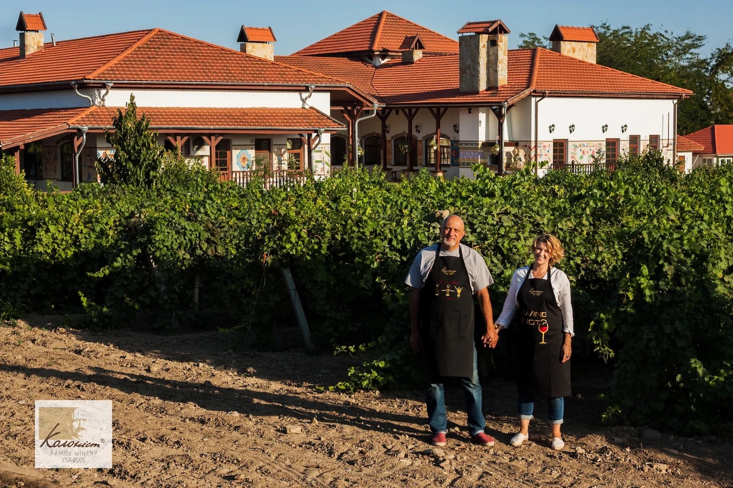 Alle Informationen zu den Weinen von Kolonist Winery