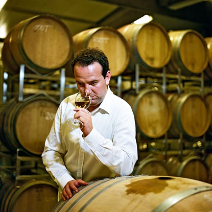 Alle Informationen zu den Weinen von Kracher