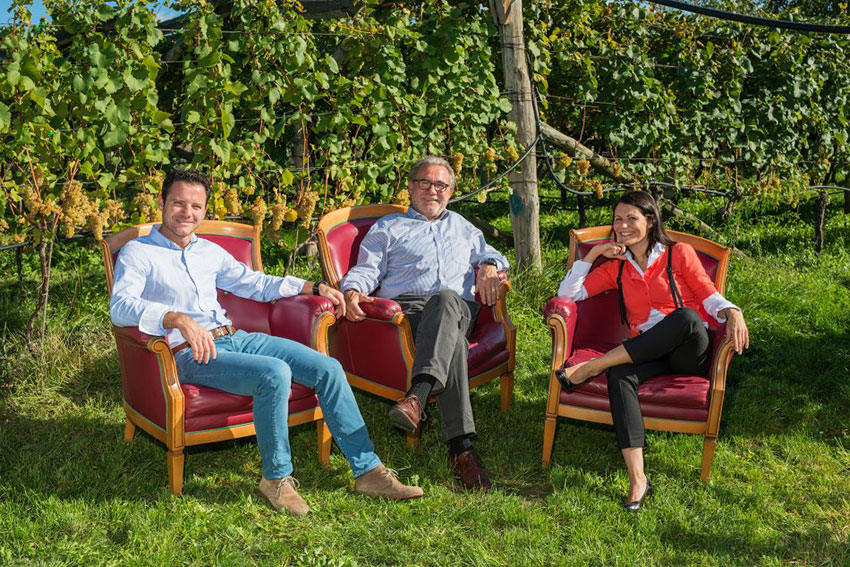 Alle Informationen zu den Weinen von Kellerei Martini & Sohn