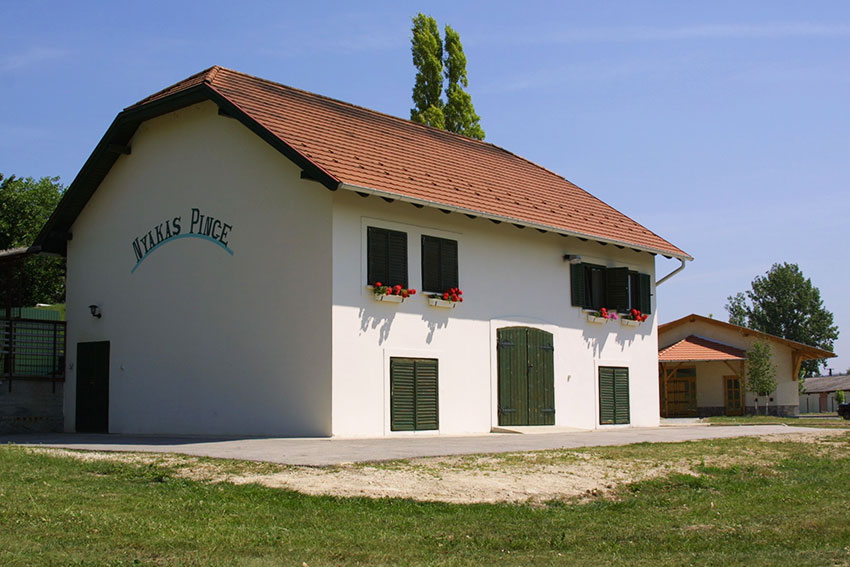 Alle Informationen zu den Weinen von Nyakas