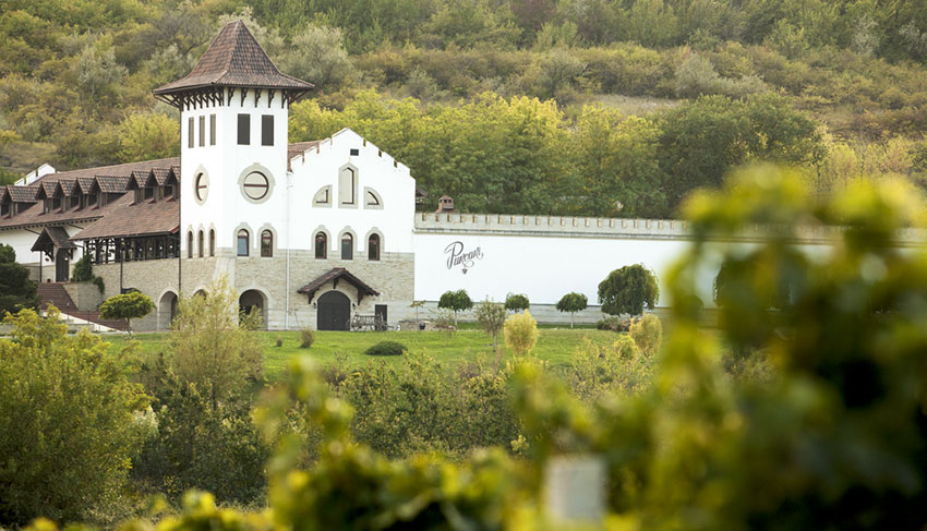 Alle Informationen zu den Weinen von Ch&acirc;teau Purcari