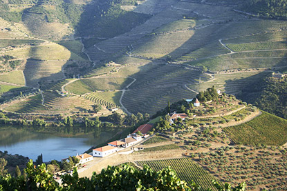 Alle Informationen zu den Weinen von Quinta do Crasto