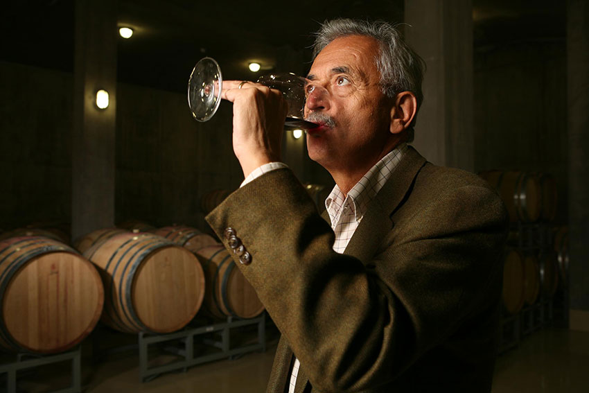 Alle Informationen zu den Weinen von Sauska