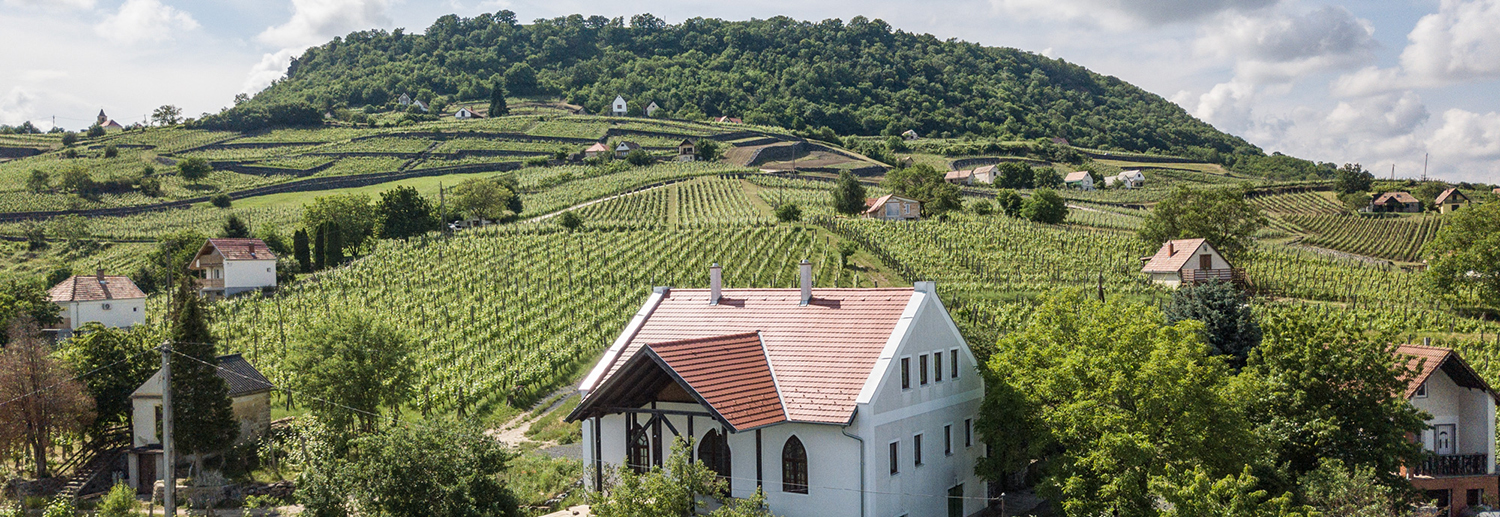 Alle Informationen zu den Weinen von Soml&oacute;i Ap&aacute;ts&aacute;gi Pince