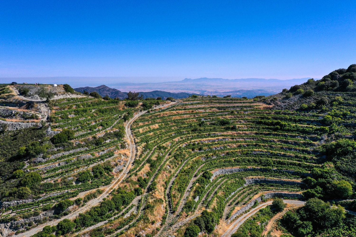 Alle Informationen zu den Weinen von Tsiakkas Winery