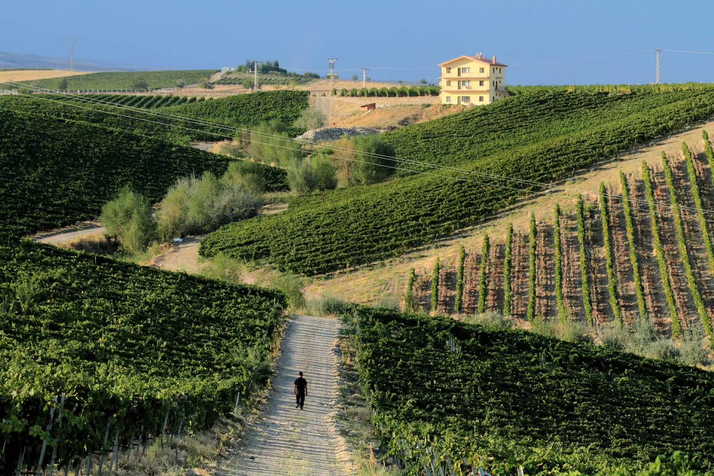 Alle Informationen zu den Weinen von Vinkara